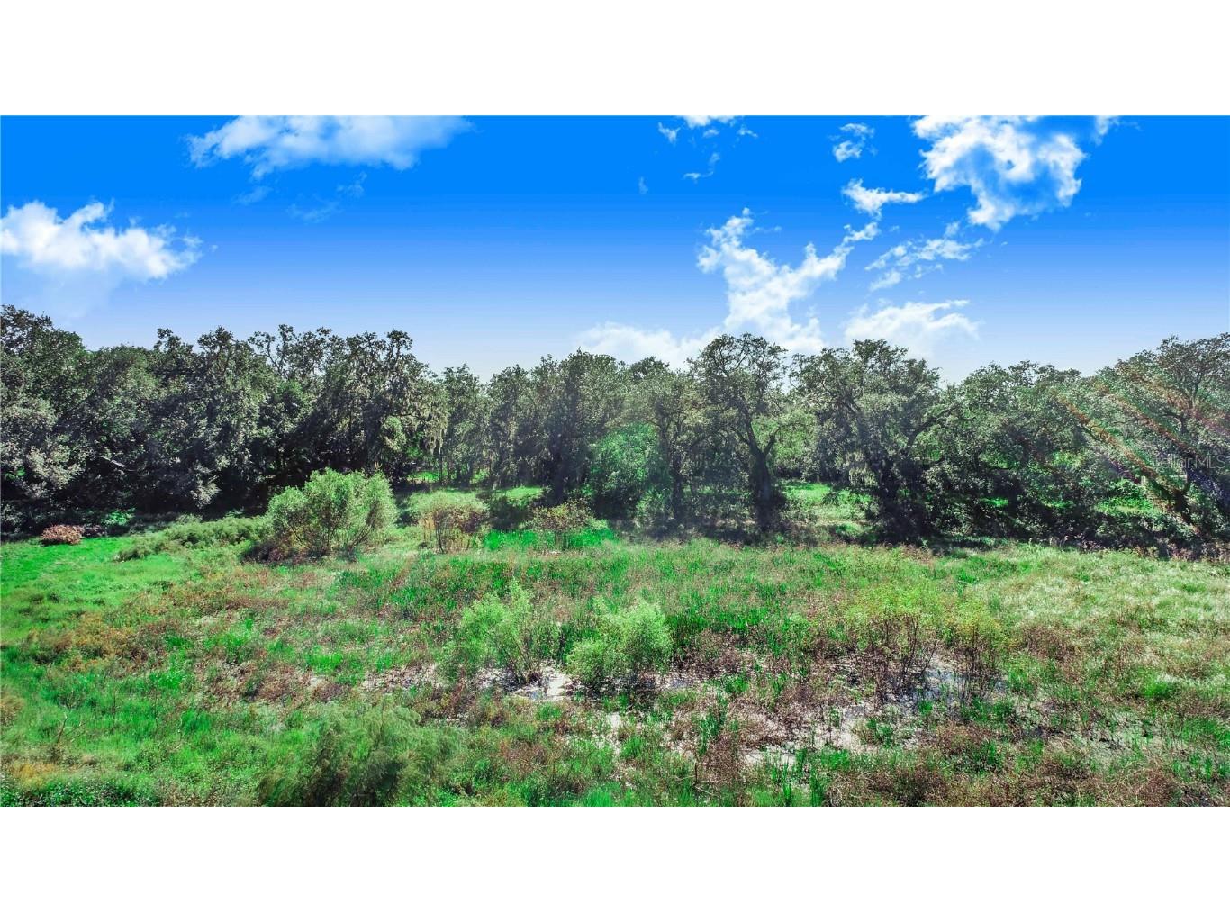 Us Highway 547 Highway Davenport FL 33837 P4932897 image12