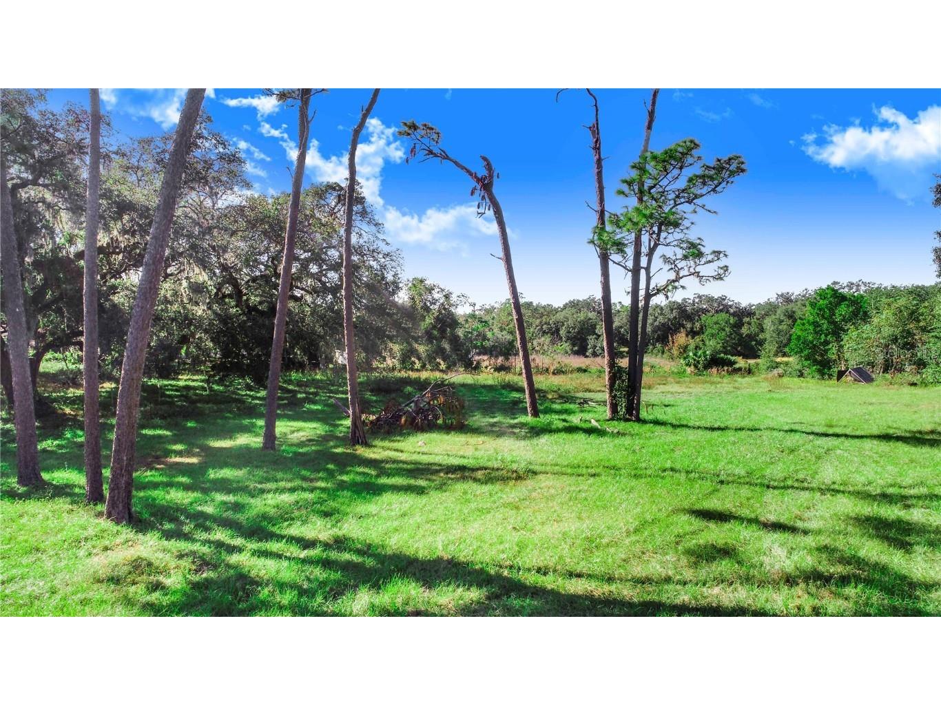 Us Highway 547 Highway Davenport FL 33837 P4932897 image15