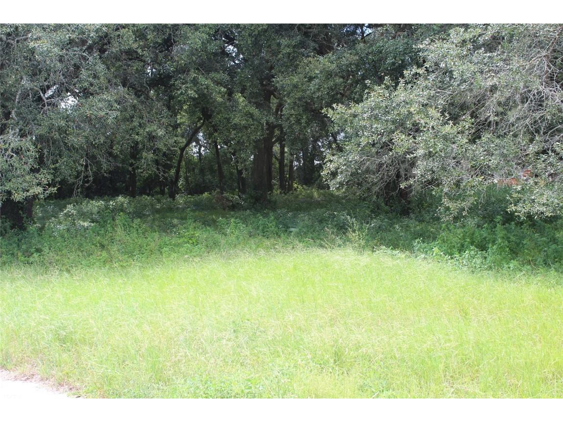 Us Highway 98 Highway Dade City FL 33523 T3393700 image1