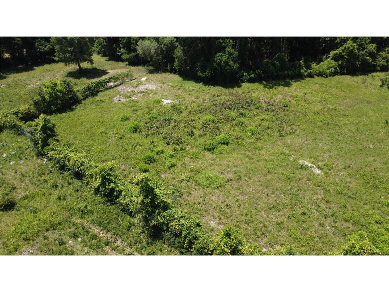 Us Hwy 19 Chiefland FL 32626 W7865174 image2