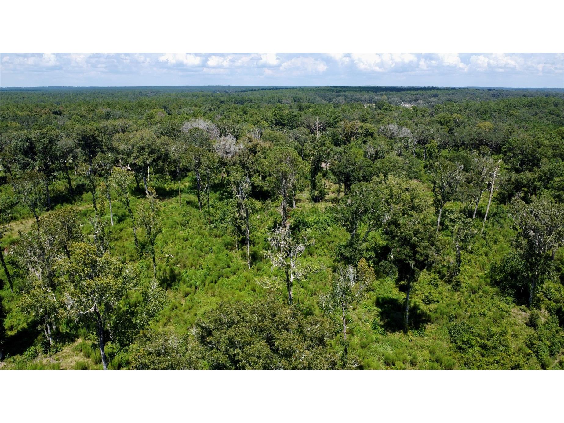 Us Hwy 27 Ocala FL 34482 OM720733 image2