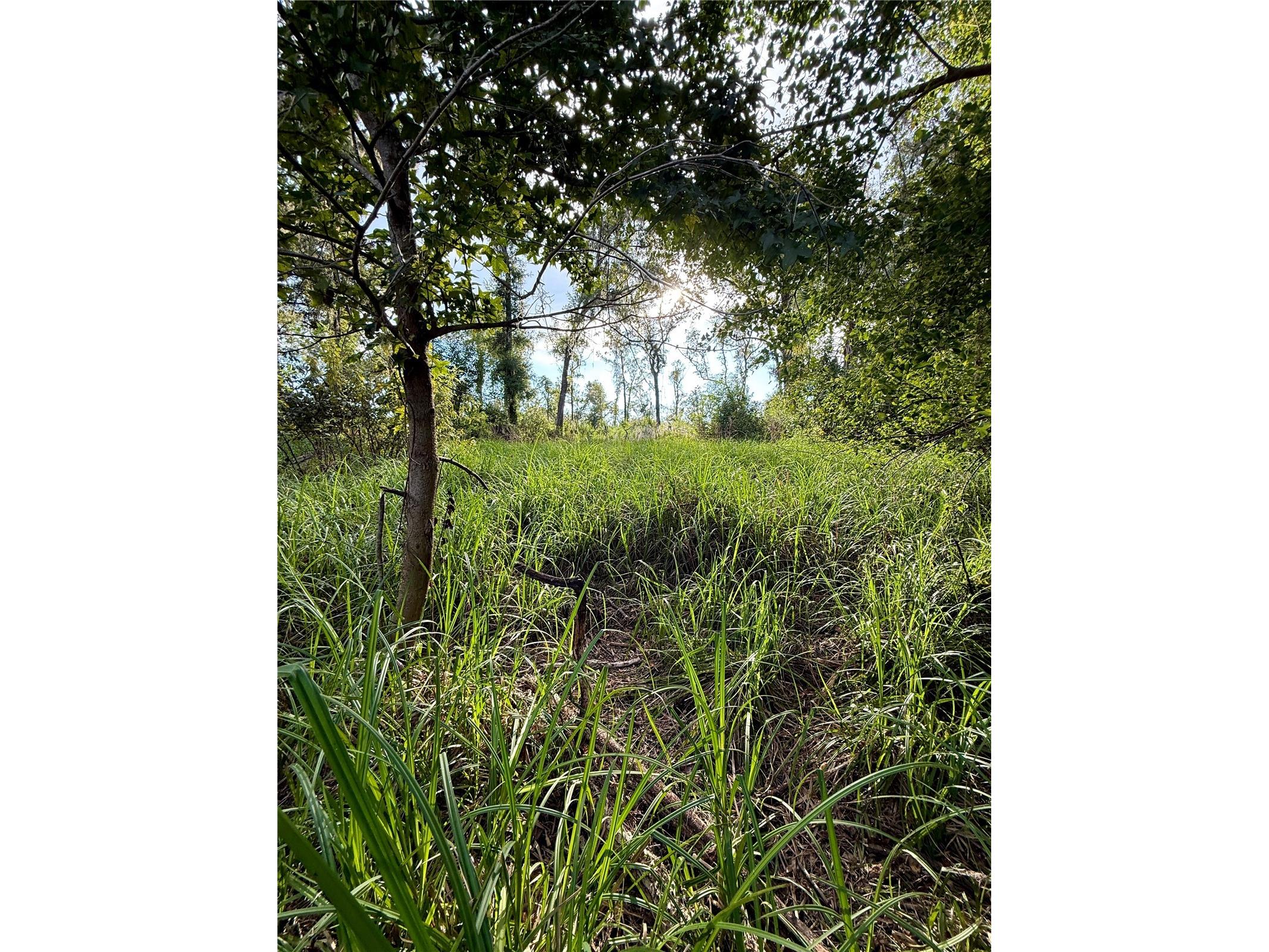 Us Hwy 27 Ocala FL 34482 OM720733 image3
