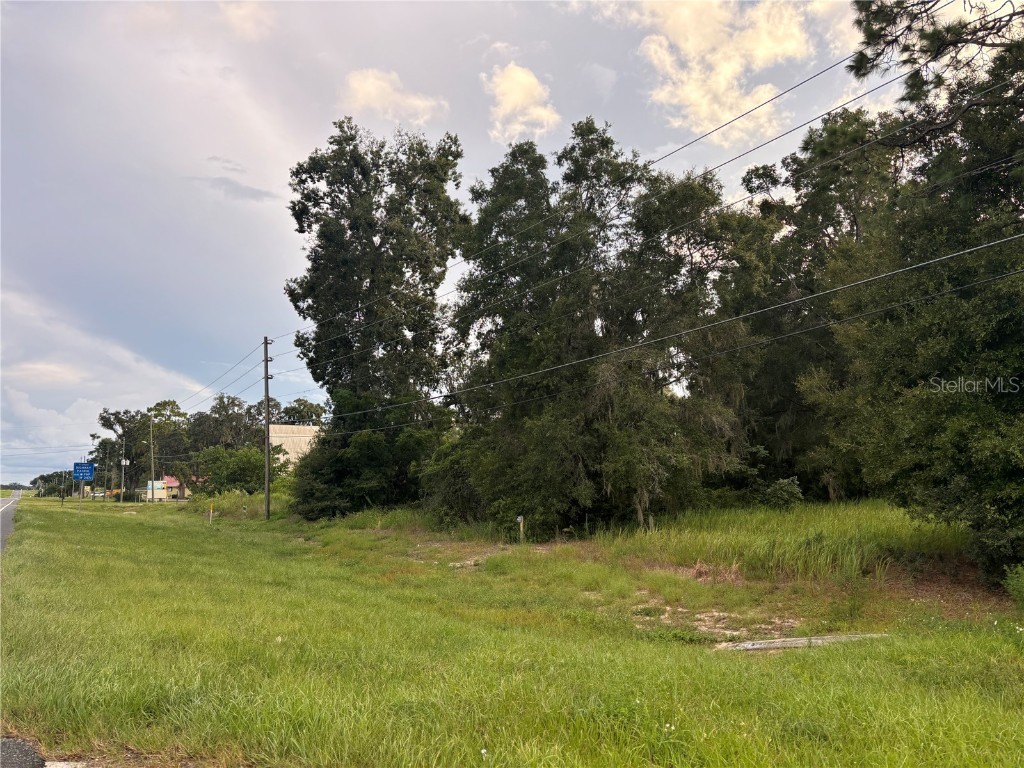 Us Hwy 301 Belleview FL 34420 A4632821 image4