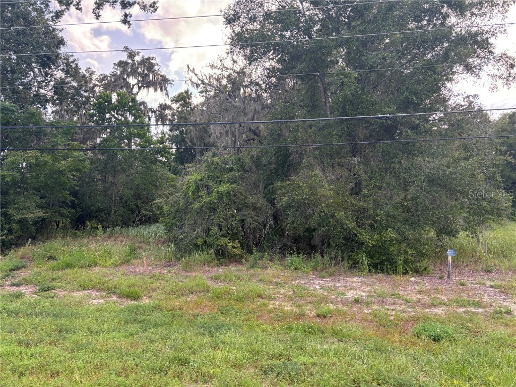 Us Hwy 301 Belleview FL 34420 A4632821 image7