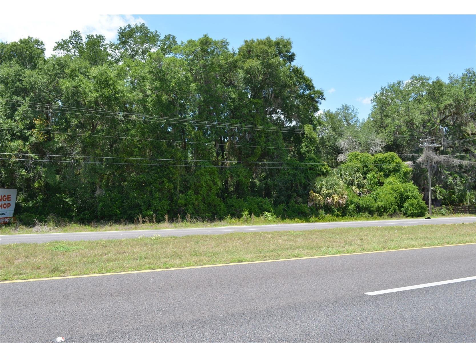 TBD N Us Hwy 301 Citra FL 32113 OM724793 image1