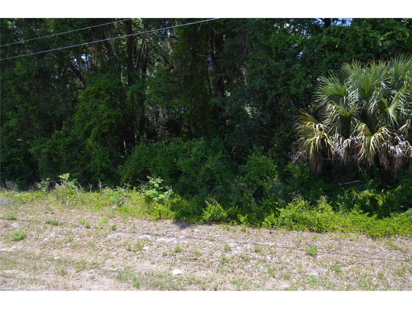 TBD N Us Hwy 301 Citra FL 32113 OM724793 image10