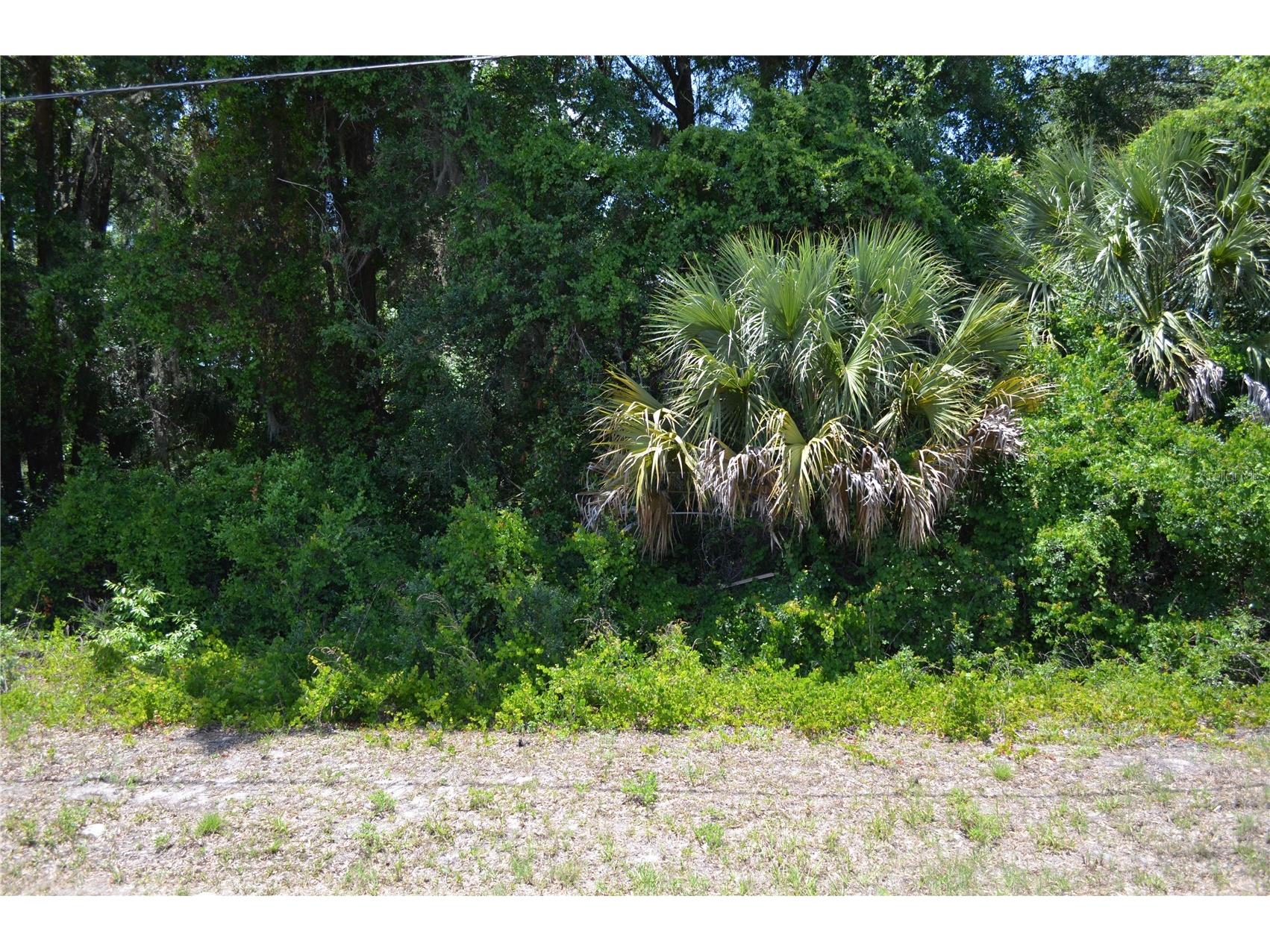 TBD N Us Hwy 301 Citra FL 32113 OM724793 image11