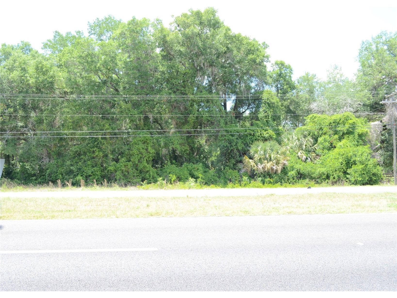 TBD N Us Hwy 301 Citra FL 32113 OM724793 image12
