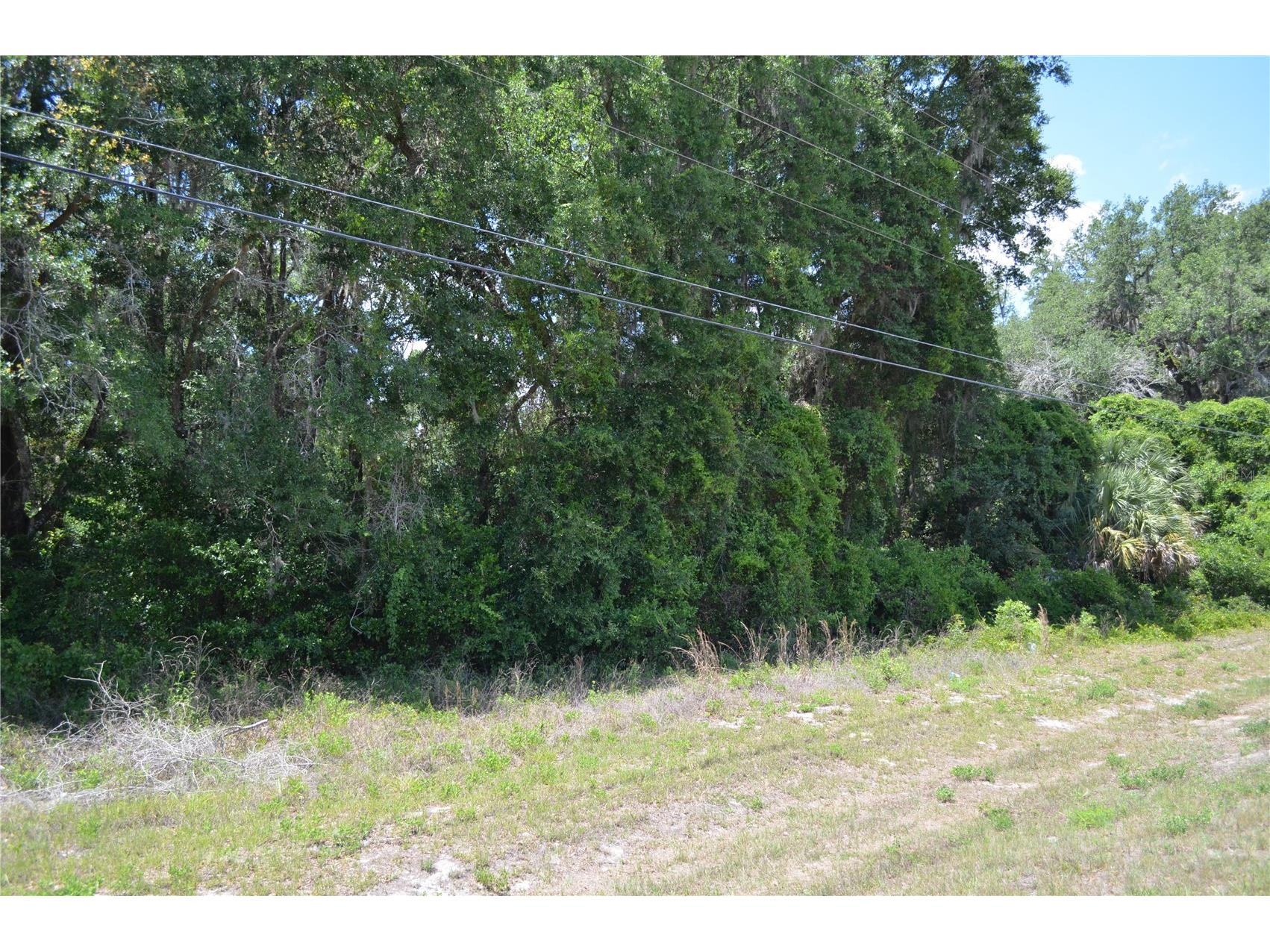 TBD N Us Hwy 301 Citra FL 32113 OM724793 image2
