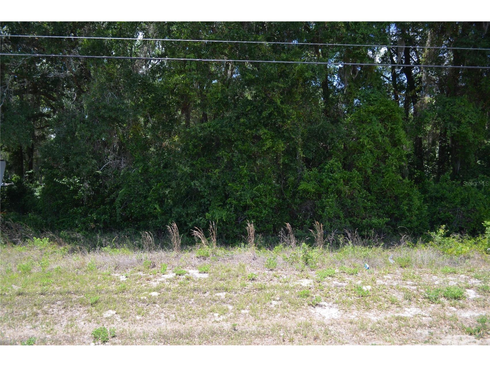 TBD N Us Hwy 301 Citra FL 32113 OM724793 image3