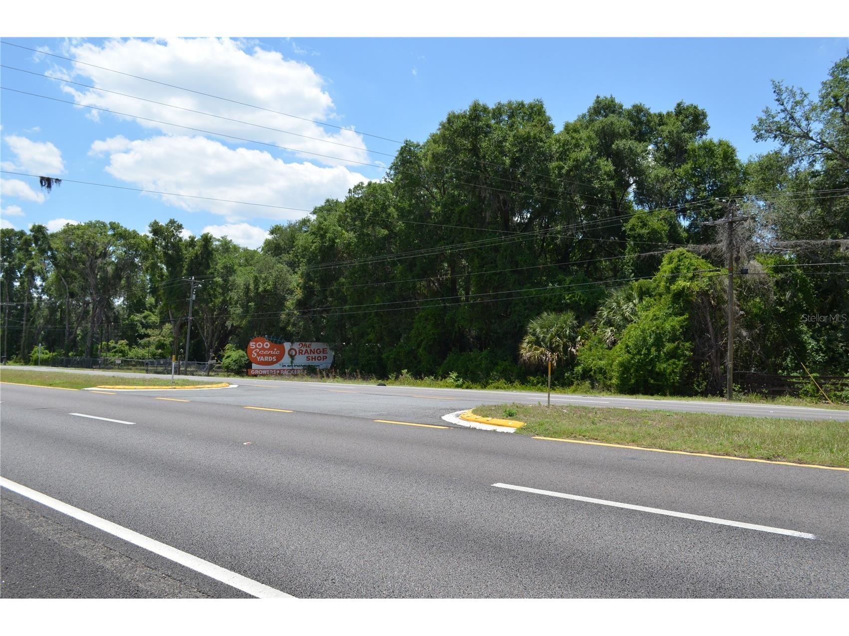 TBD N Us Hwy 301 Citra FL 32113 OM724793 image4