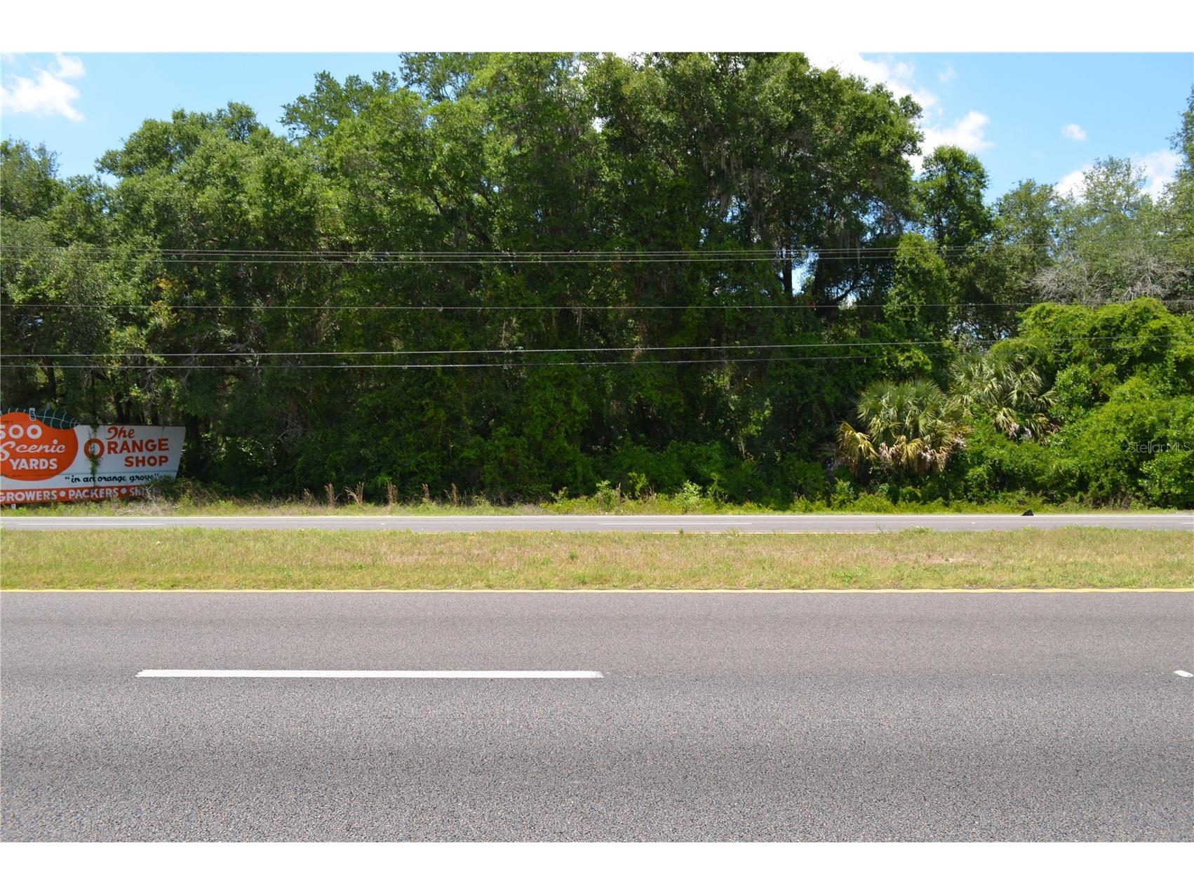 TBD N Us Hwy 301 Citra FL 32113 OM724793 image6