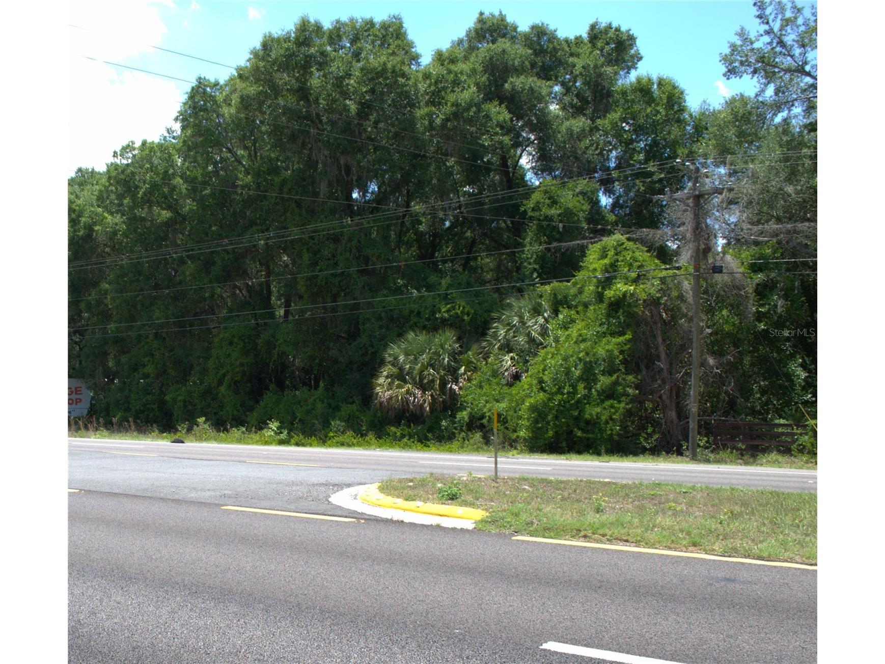 TBD N Us Hwy 301 Citra FL 32113 OM724793 image7
