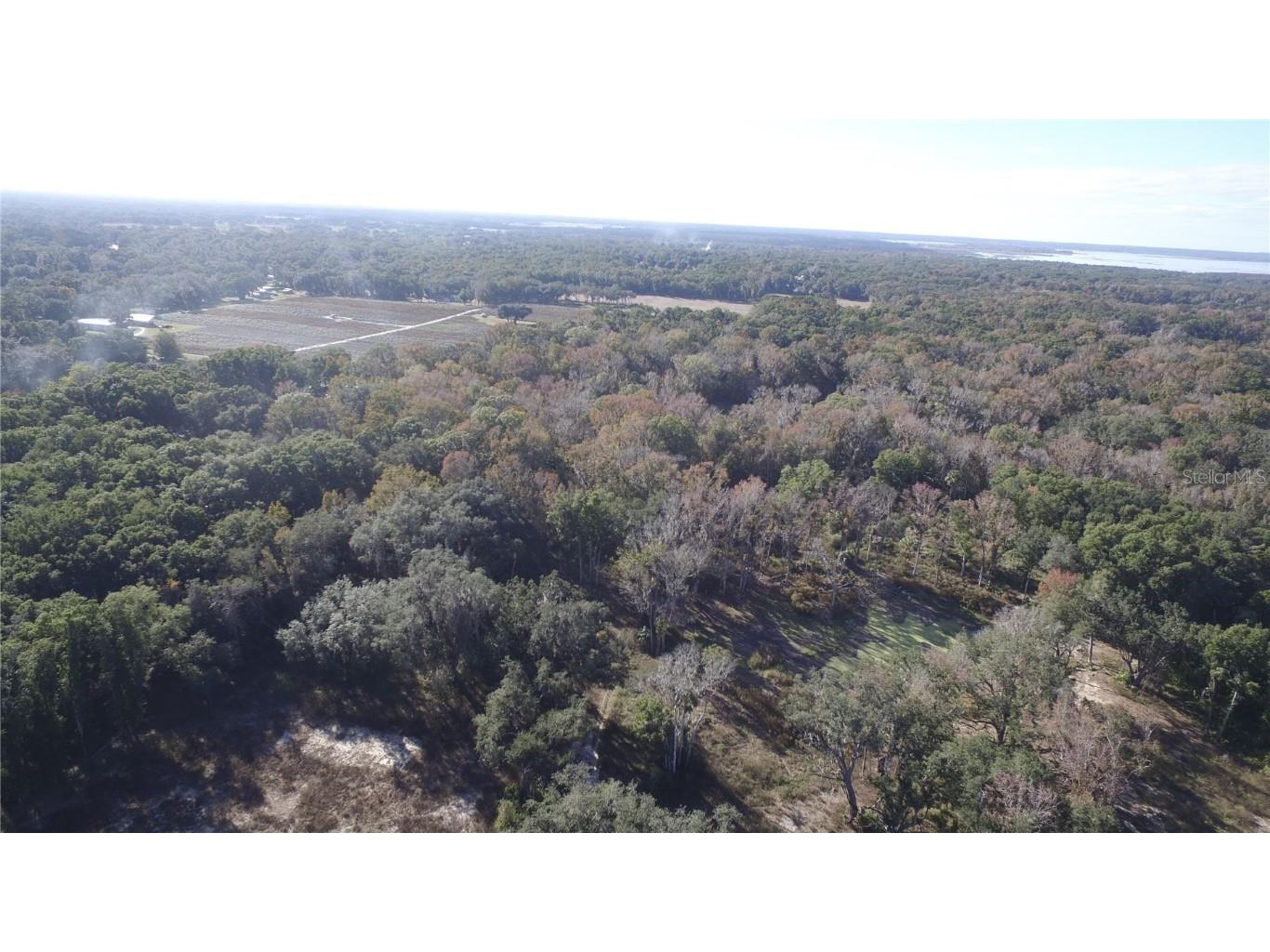 Us Hwy 301 Tbd Citra FL 32113 TB8366581 image10