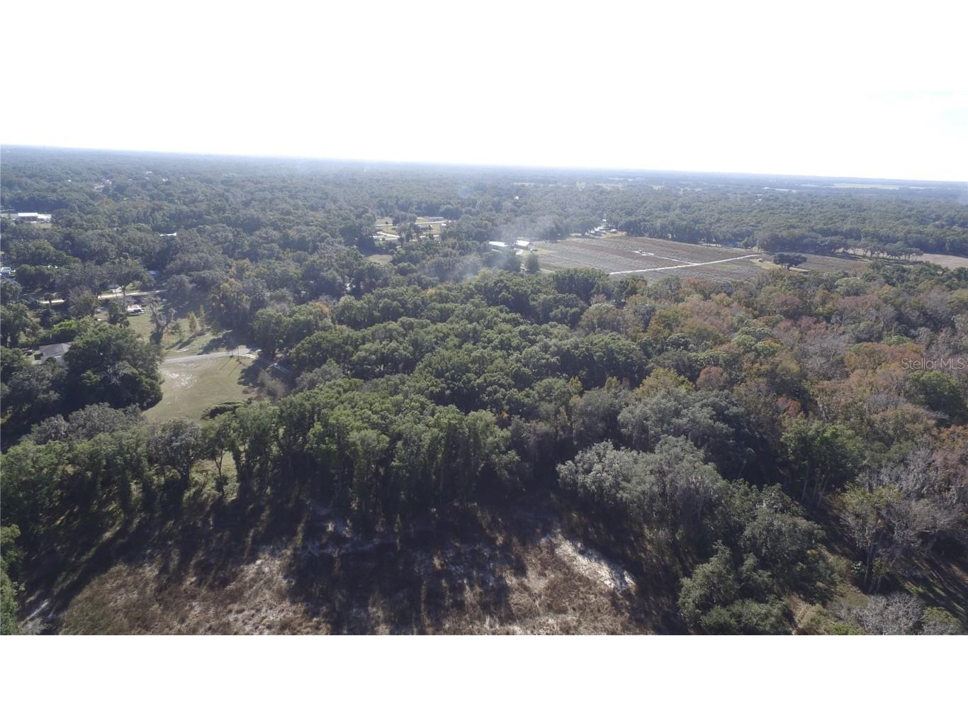 Us Hwy 301 Tbd Citra FL 32113 TB8366581 image11