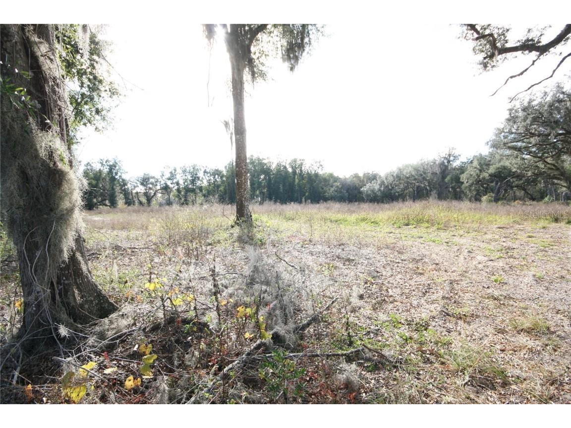 Us Hwy 301 Tbd Citra FL 32113 TB8366581 image29