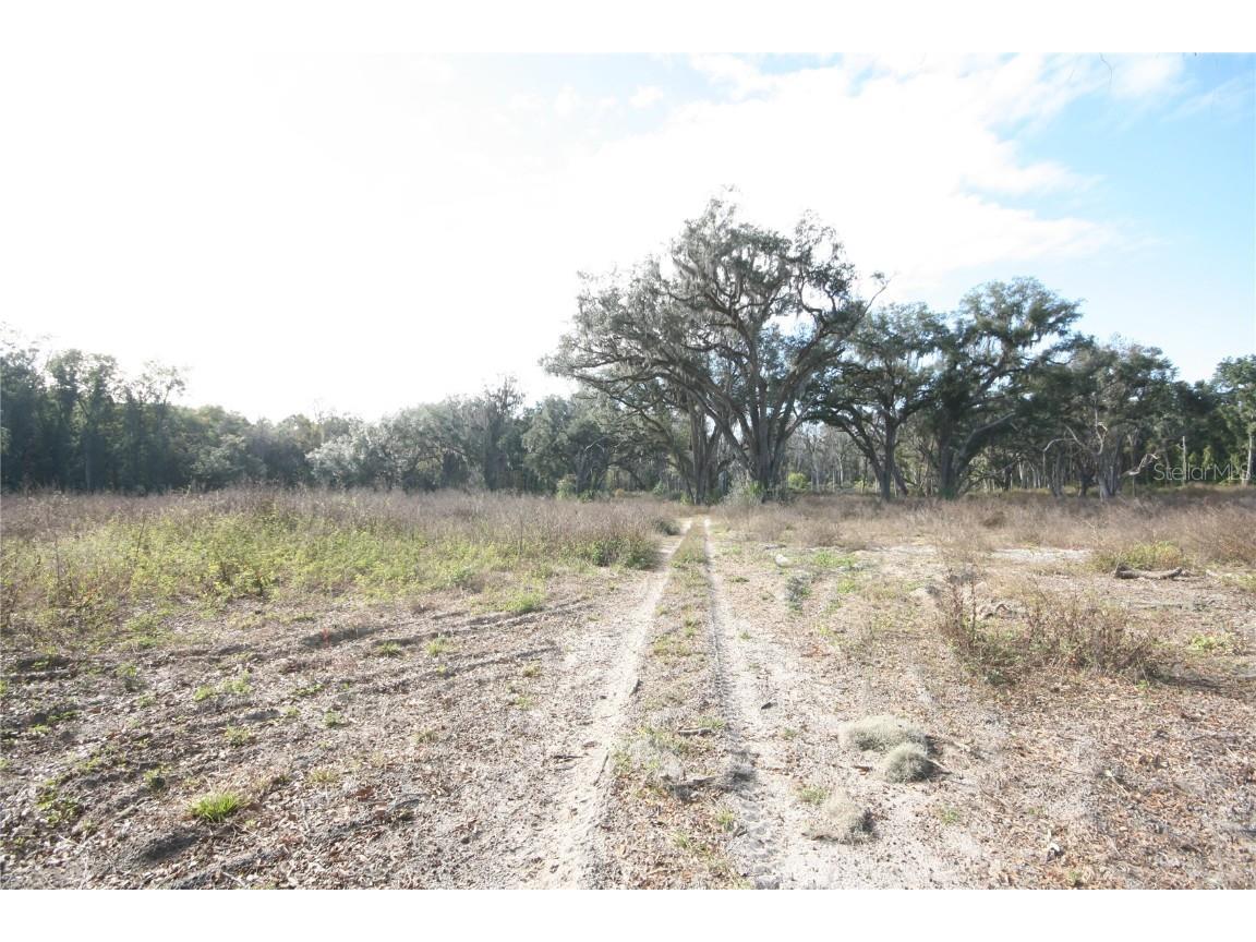 Us Hwy 301 Tbd Citra FL 32113 TB8366581 image34