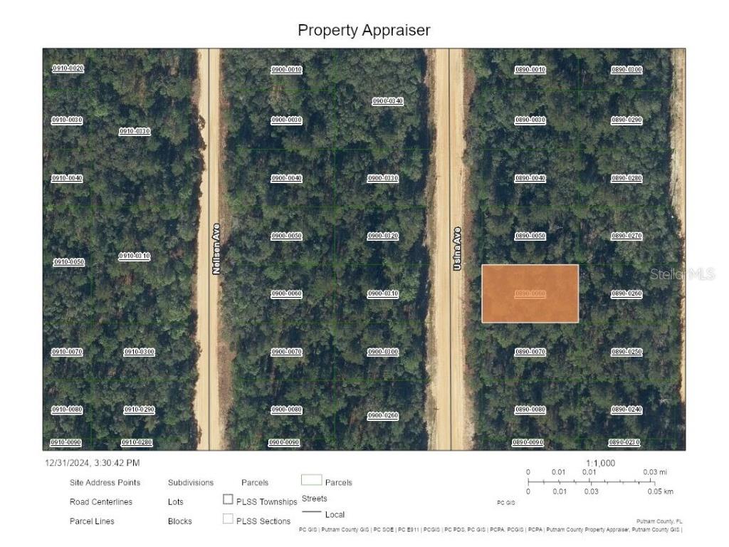 Usina Avenue Interlachen FL 32148 A4633905 image1