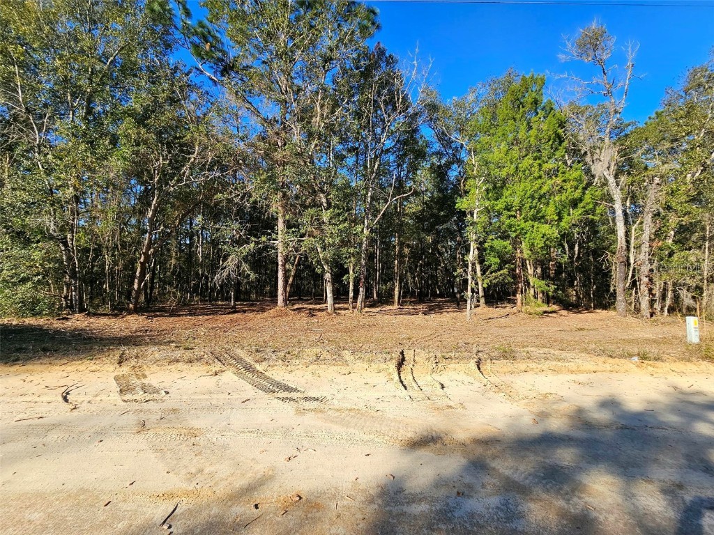 Usina Drive Interlachen FL 32148 GC518832 image1