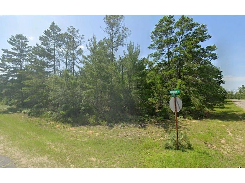 Utica Avenue Chipley FL 32428 O6177172 image1