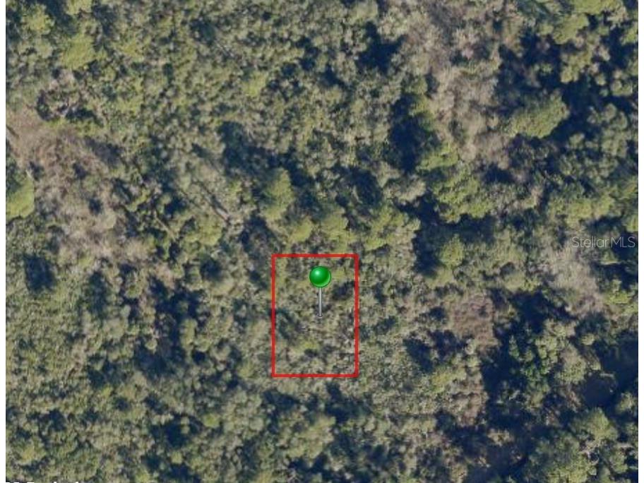 Vac No Street Oak Hill FL 32759 NS1087879 image1
