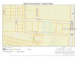 Vacant Ocala FL 34473 OM707993 image1