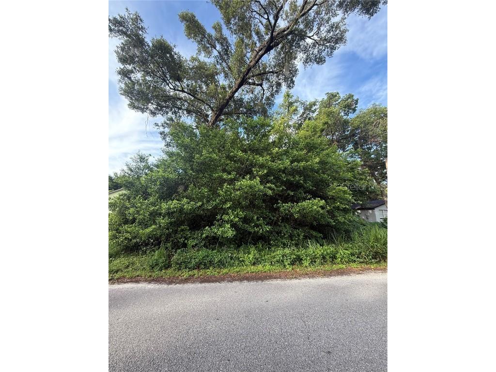 Valencia Avenue Orange City FL 32763 O6318654 image1