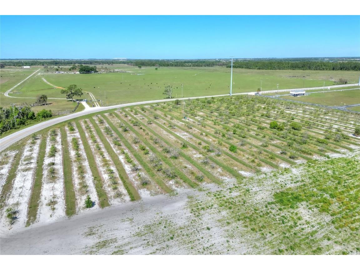 Valencia Street Lake Wales FL 33898 T3517372 image5