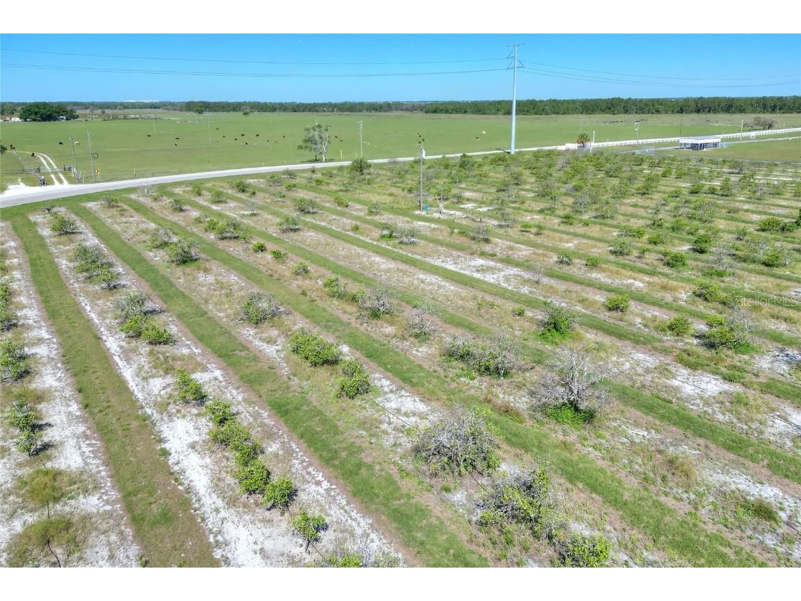 Valencia Street Lake Wales FL 33898 T3517372 image6