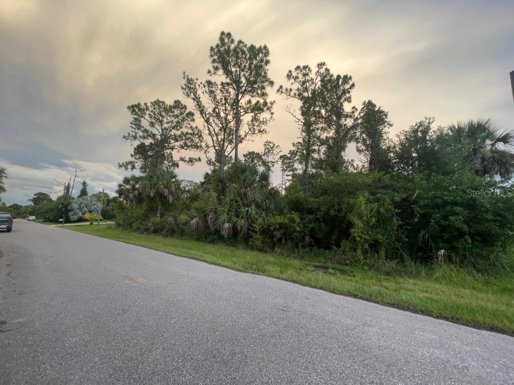 Valkaria Avenue North Port FL 34286 N6139946 image3