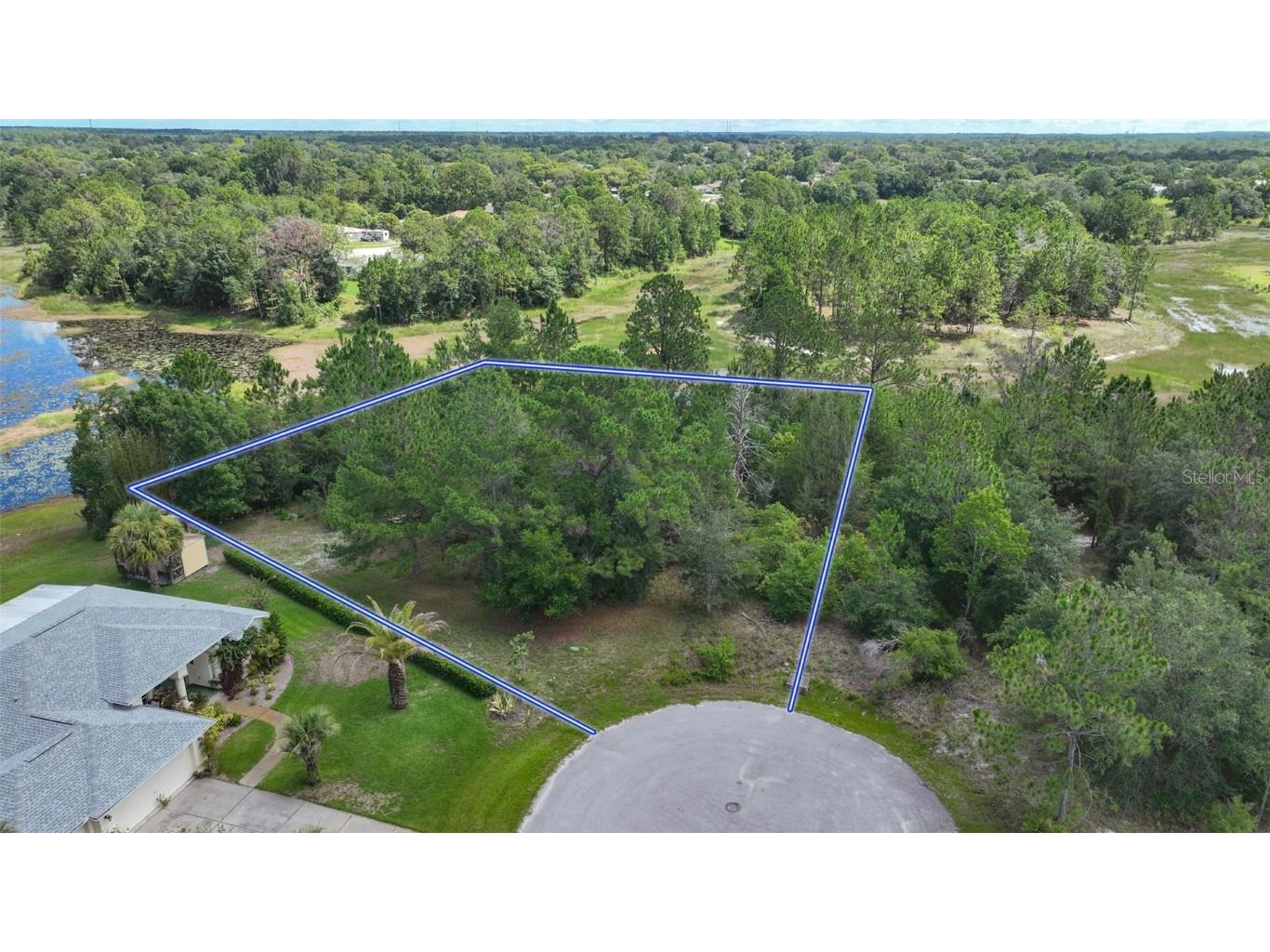 Valley Brook Court Spring Hill FL 34606 T3536876 image1