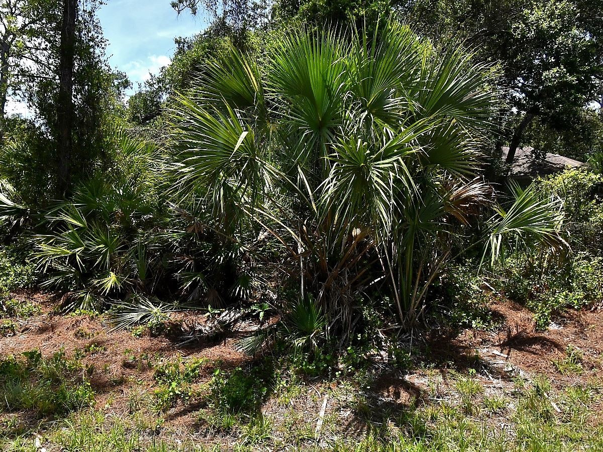 Van Eck Road North Port FL 34291 O6405228 image1
