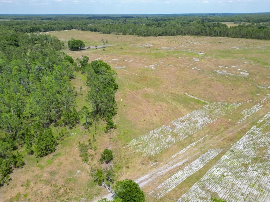 Van Fleet Road Polk City FL 33868 TB8380977 image33