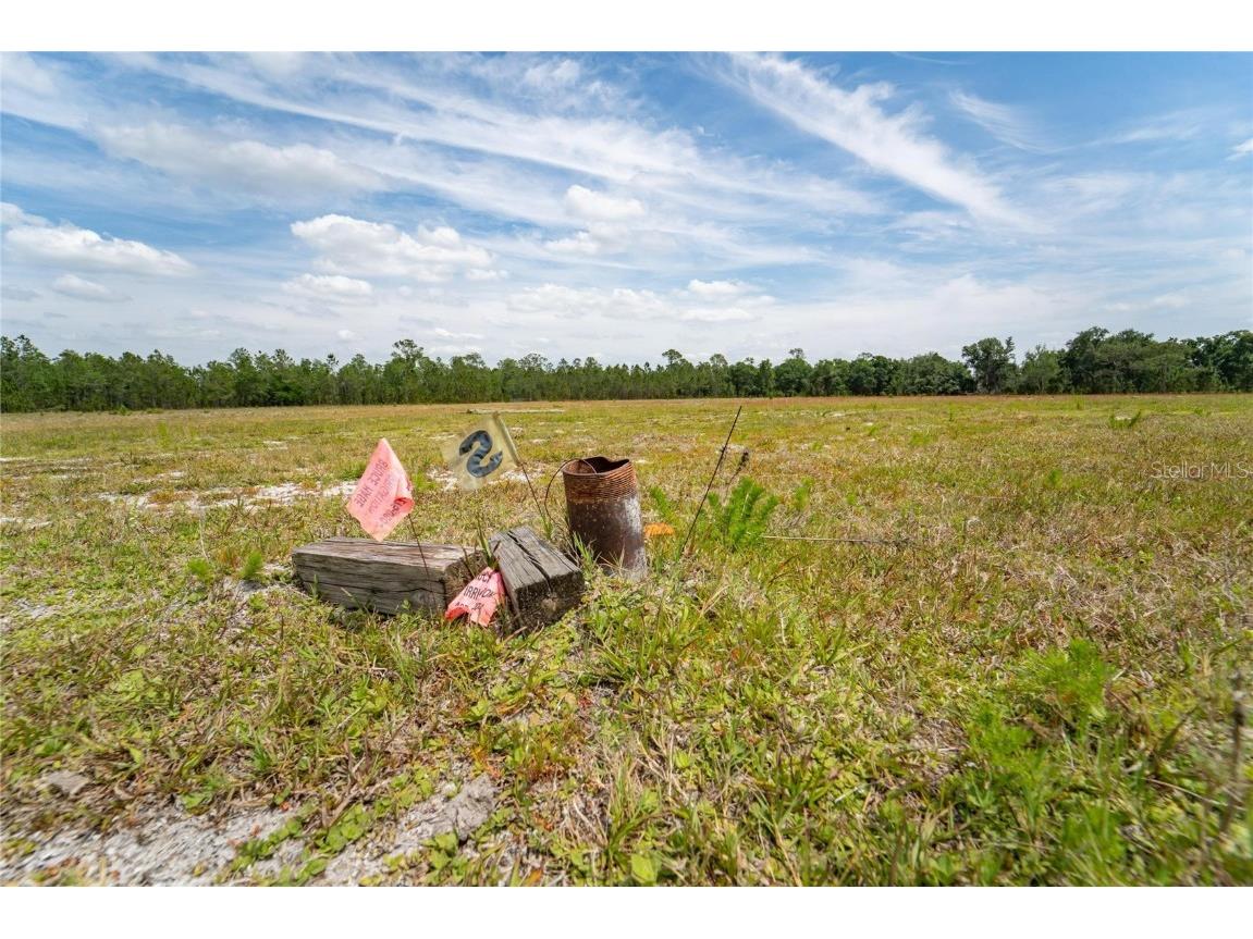 Van Fleet Road Polk City FL 33868 TB8380977 image41