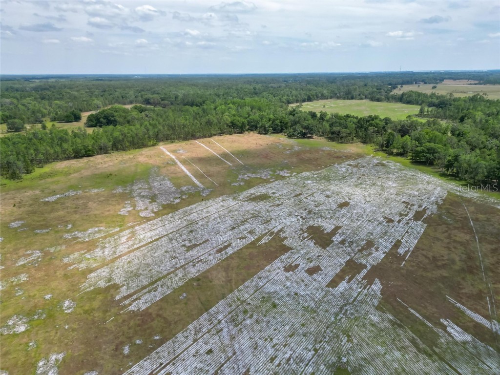 Van Fleet Road Polk City FL 33868 TB8380977 image6