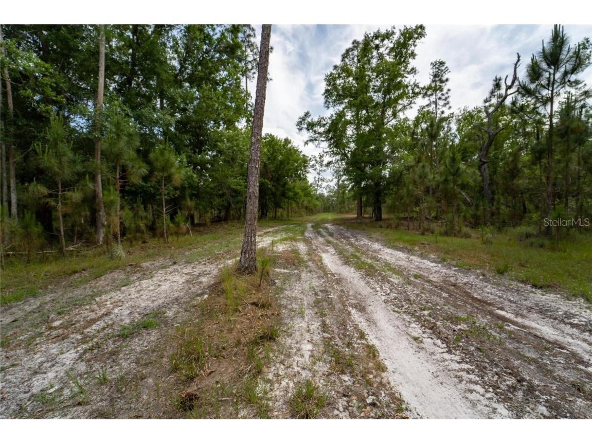 Van Fleet Road Polk City FL 33868 TB8380977 image64