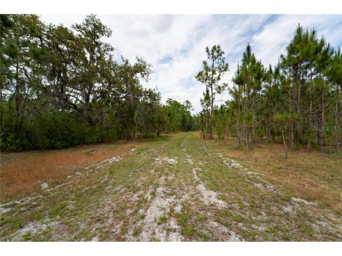 Van Fleet Road Polk City FL 33868 TB8380977 image65