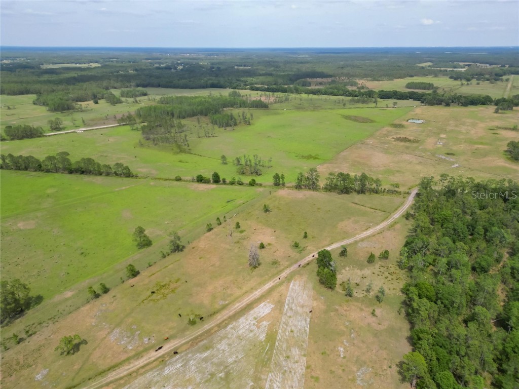 Van Fleet Road Polk City FL 33868 TB8380977 image84