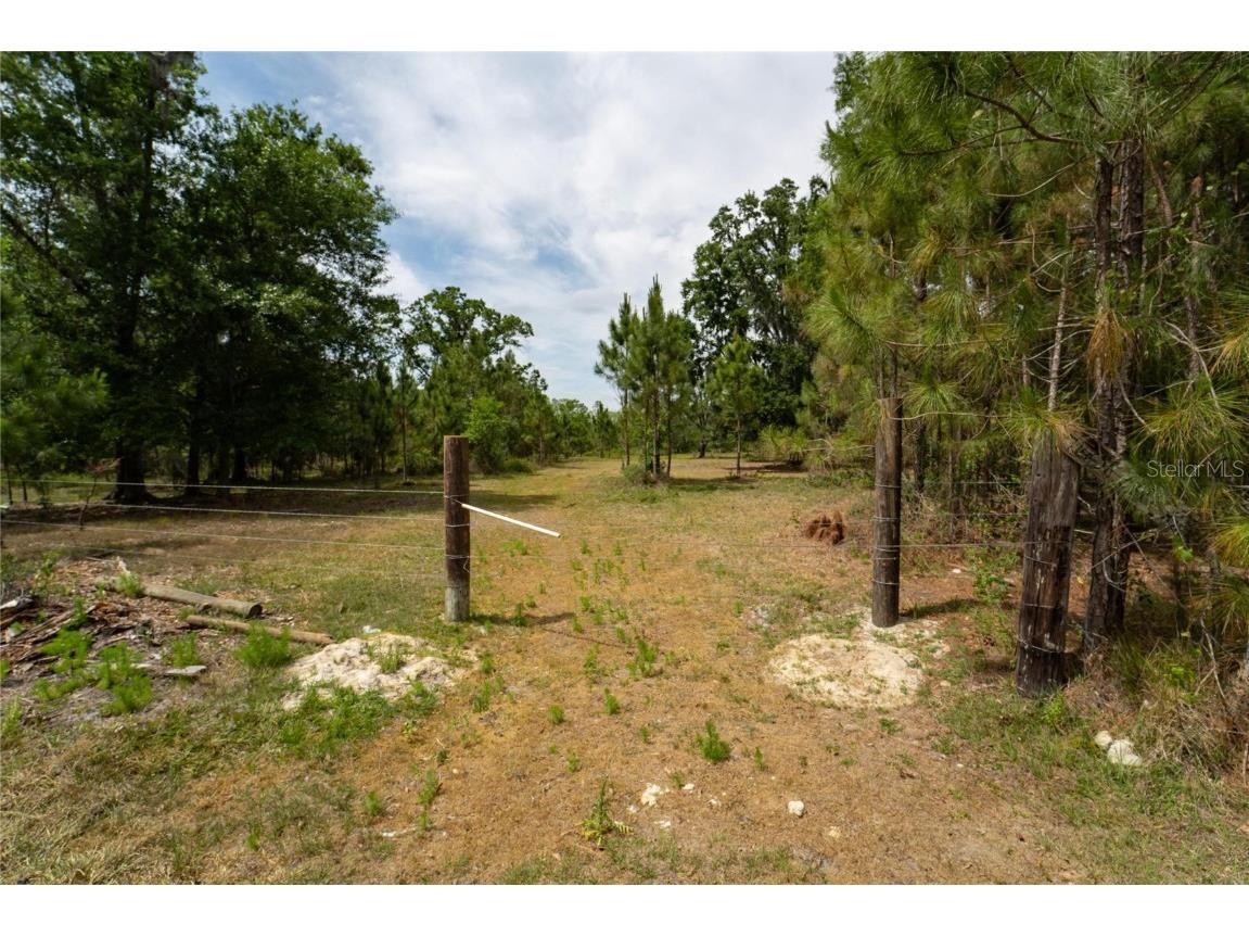 Van Fleet Road Polk City FL 33868 TB8380979 image10