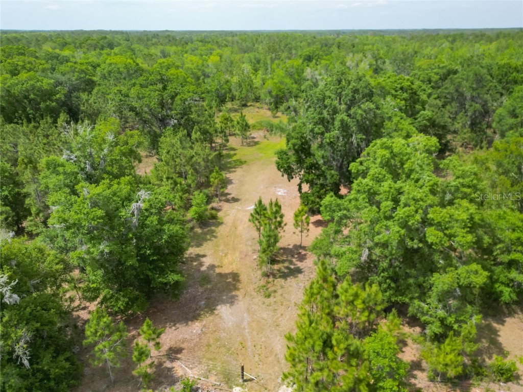 Van Fleet Road Polk City FL 33868 TB8380979 image11