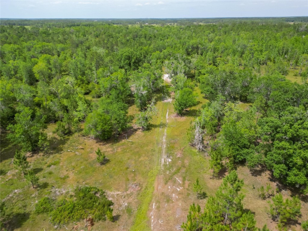 Van Fleet Road Polk City FL 33868 TB8380979 image12