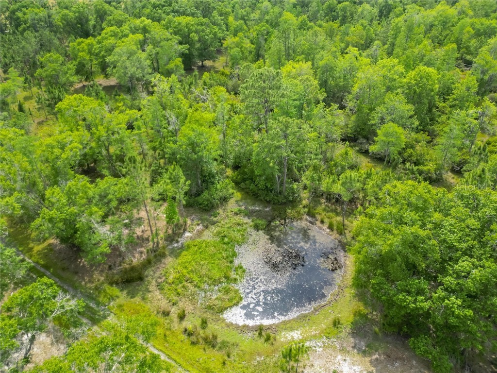 Van Fleet Road Polk City FL 33868 TB8380979 image14