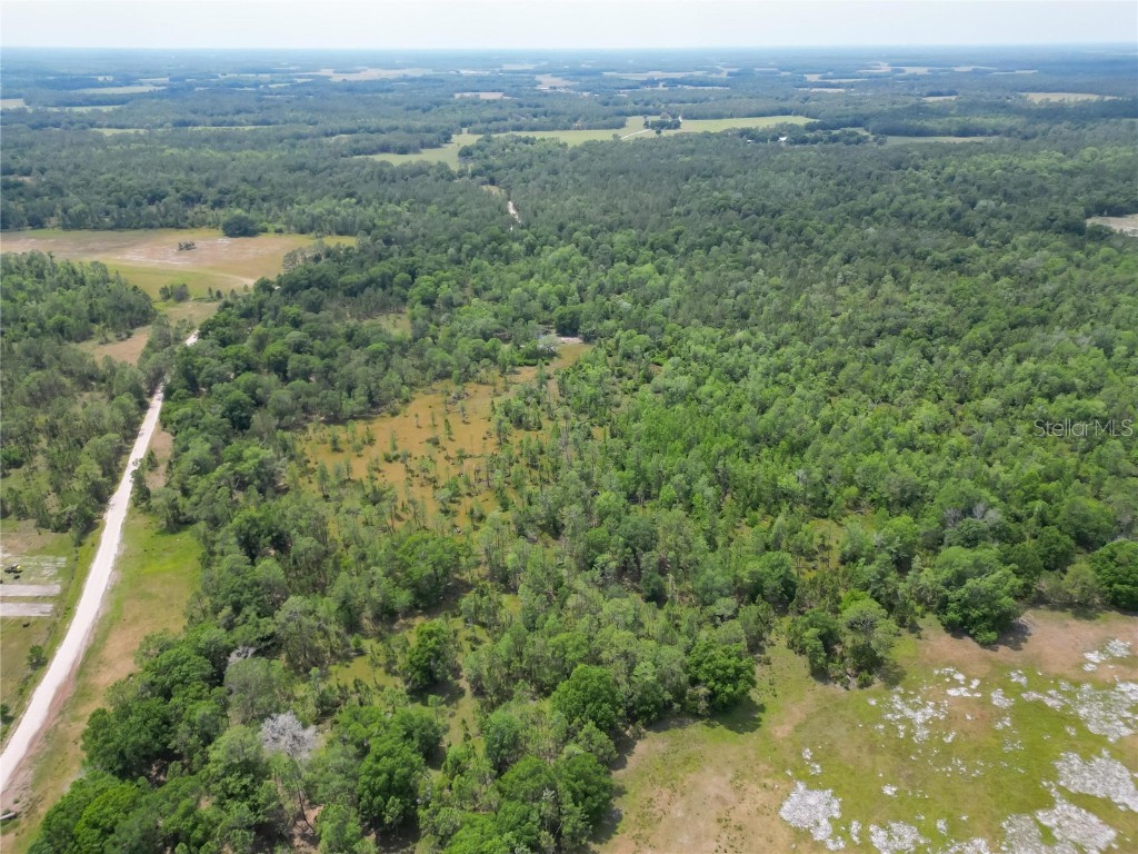 Van Fleet Road Polk City FL 33868 TB8380979 image16