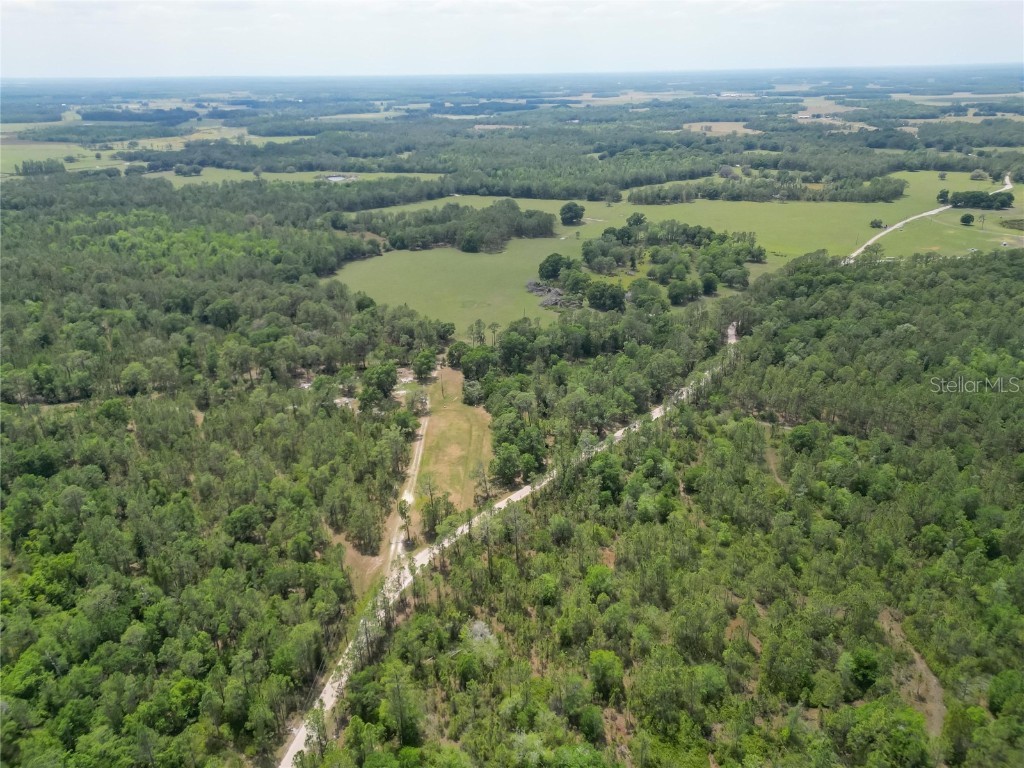 Van Fleet Road Polk City FL 33868 TB8380979 image19