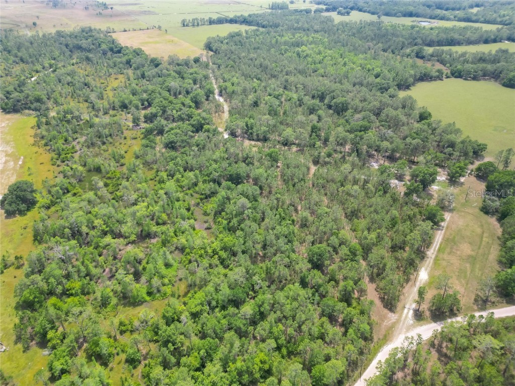 Van Fleet Road Polk City FL 33868 TB8380979 image21