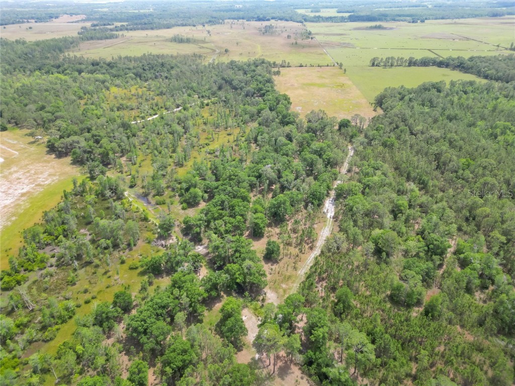 Van Fleet Road Polk City FL 33868 TB8380979 image22