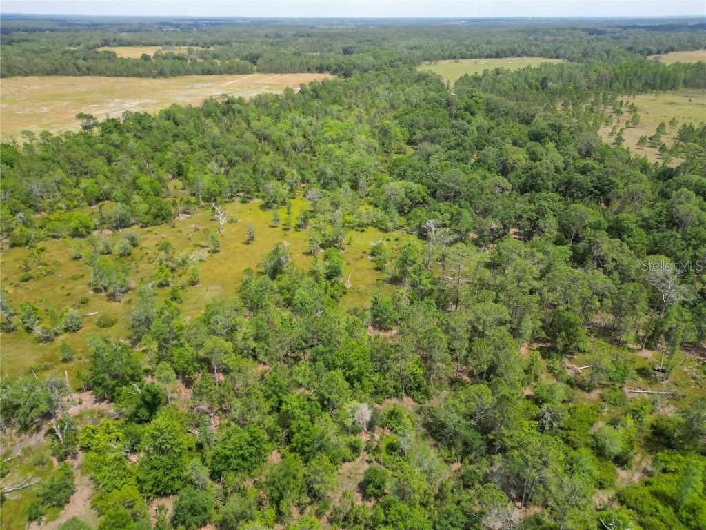 Van Fleet Road Polk City FL 33868 TB8380979 image24