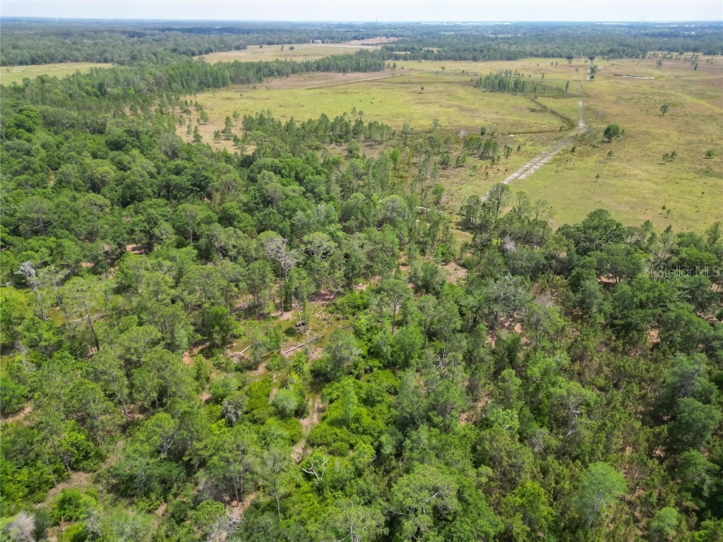 Van Fleet Road Polk City FL 33868 TB8380979 image25