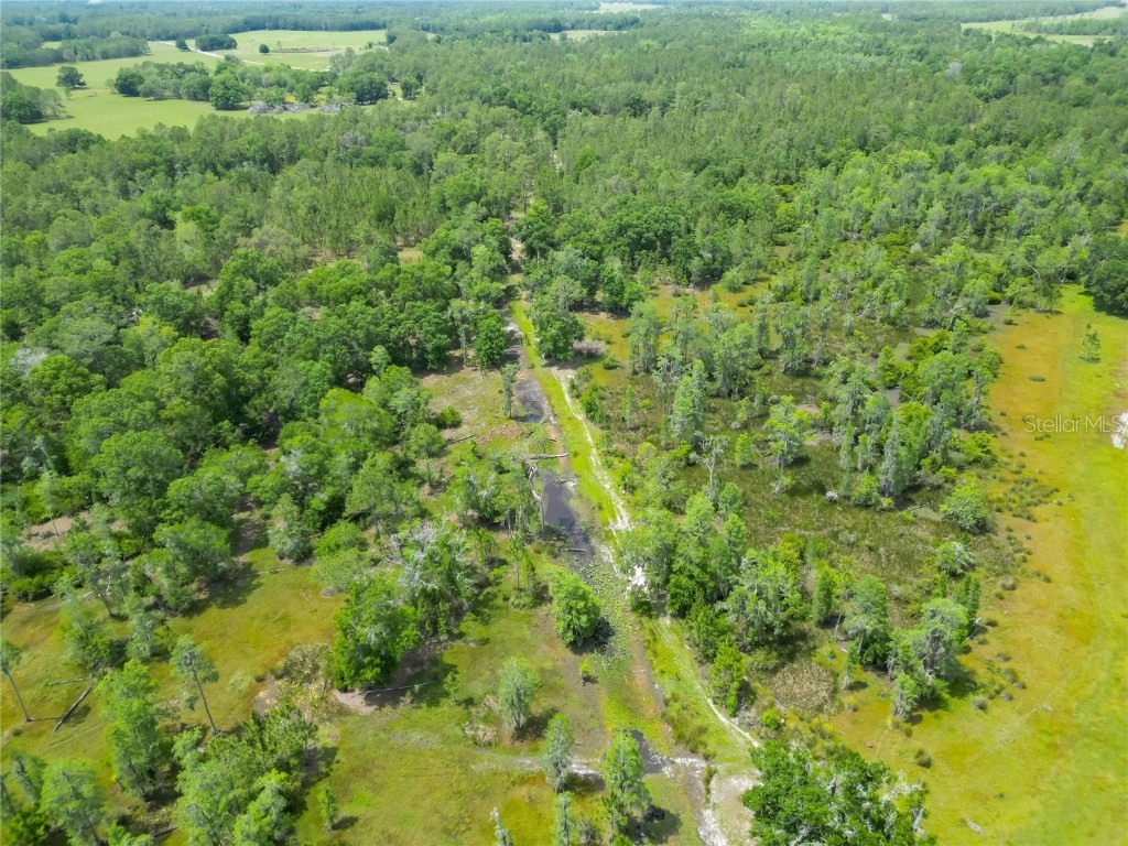 Van Fleet Road Polk City FL 33868 TB8380979 image26