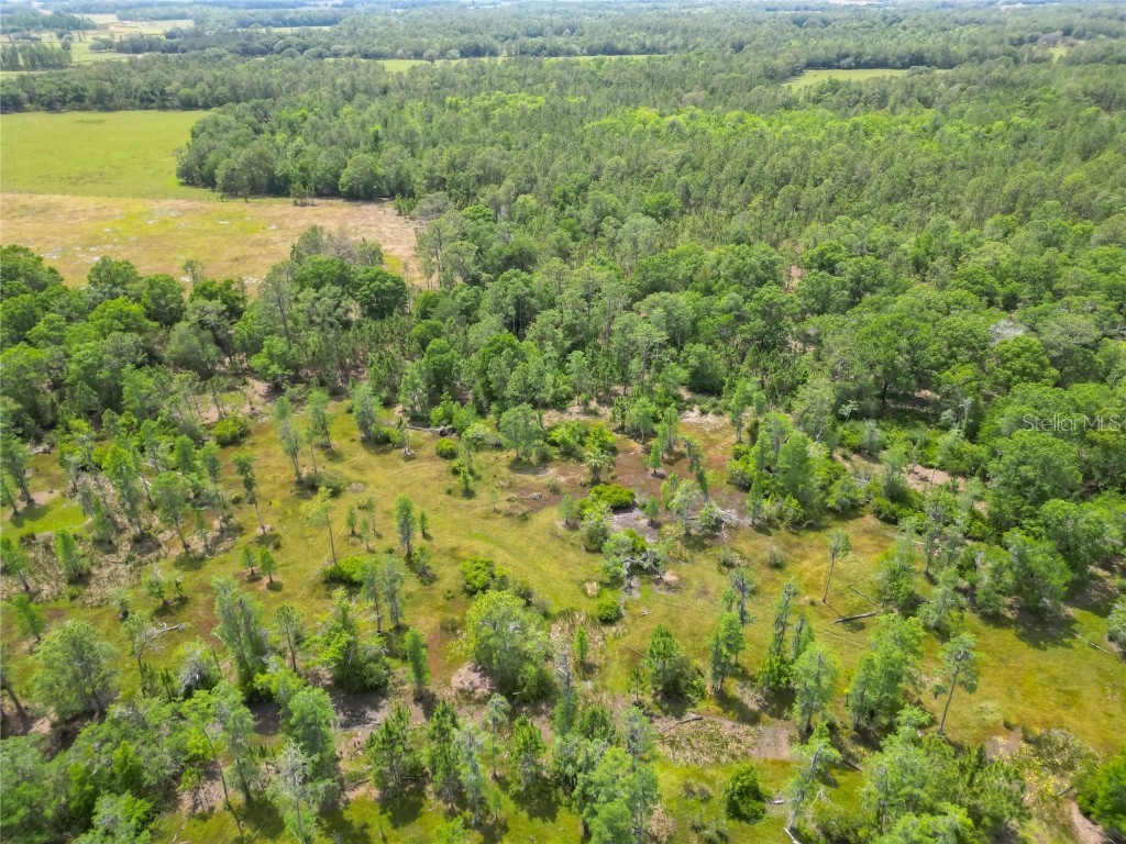 Van Fleet Road Polk City FL 33868 TB8380979 image27
